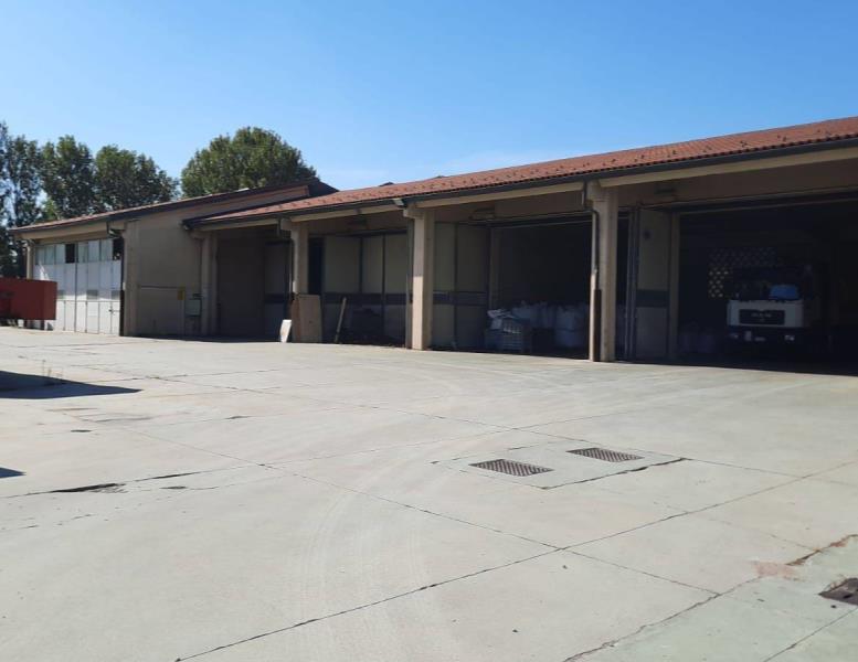 immagine annuncio 1 di 8