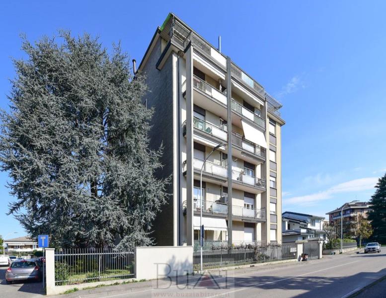 immagine annuncio 5 di 12