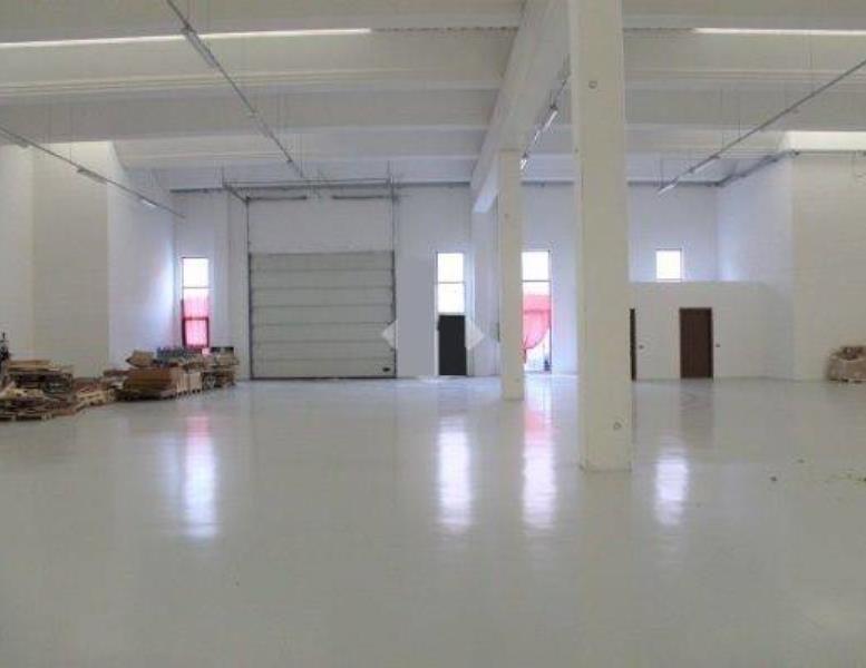 immagine annuncio 4 di 8