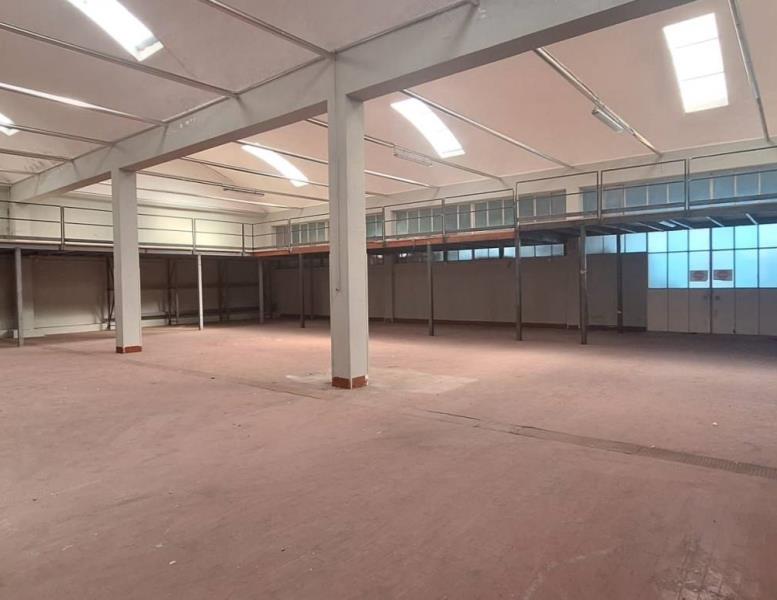 immagine annuncio 2 di 6