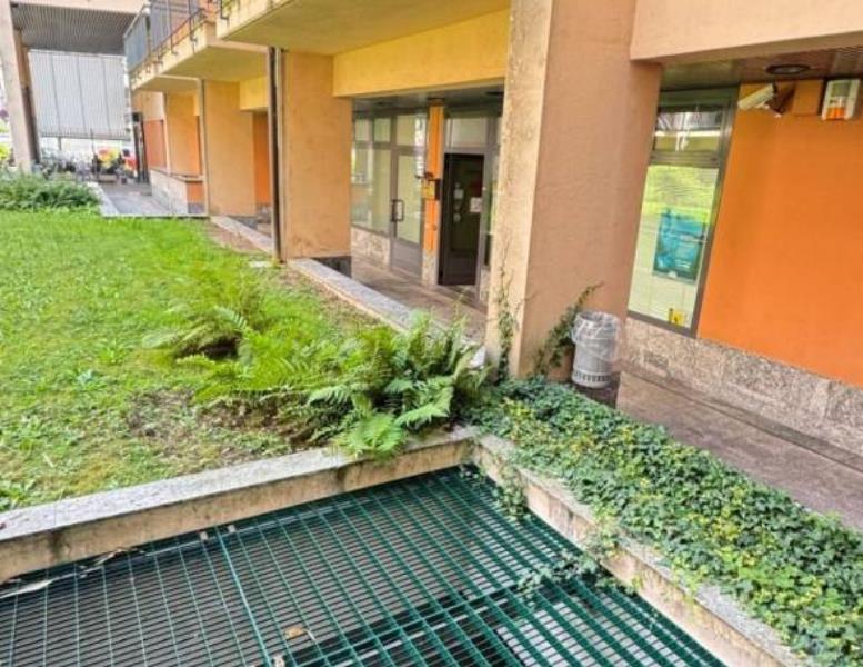 immagine annuncio 6 di 11