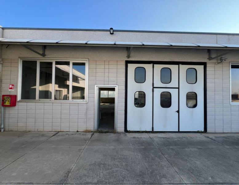 immagine annuncio 11 di 14