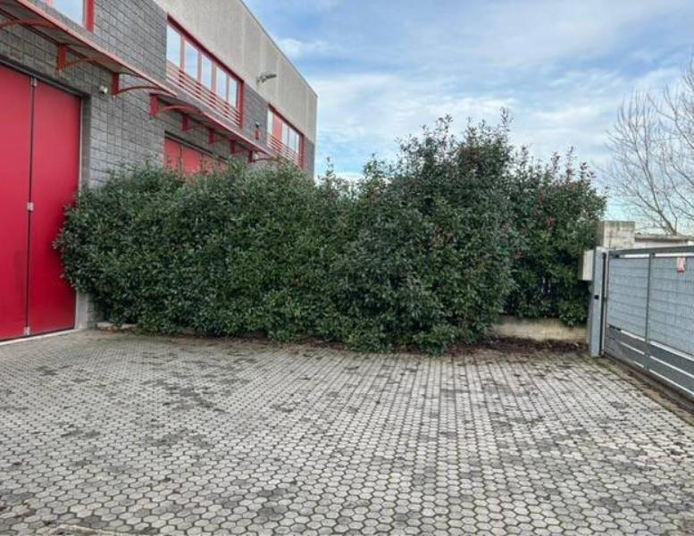 immagine annuncio 12 di 15