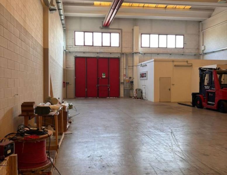 immagine annuncio 9 di 15