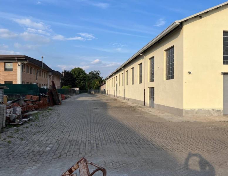 immagine annuncio 12 di 15