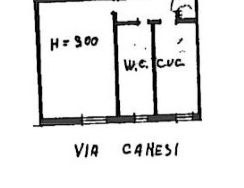 immagine annuncio 12 di 13