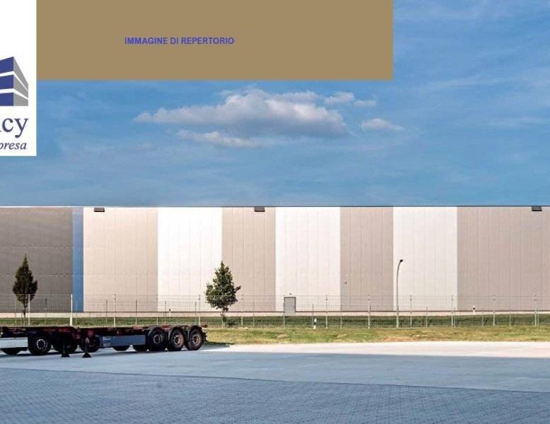 immagine annuncio 12 di 15