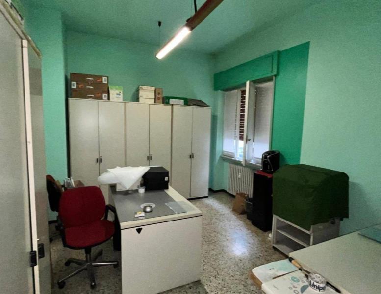 immagine annuncio 6 di 12