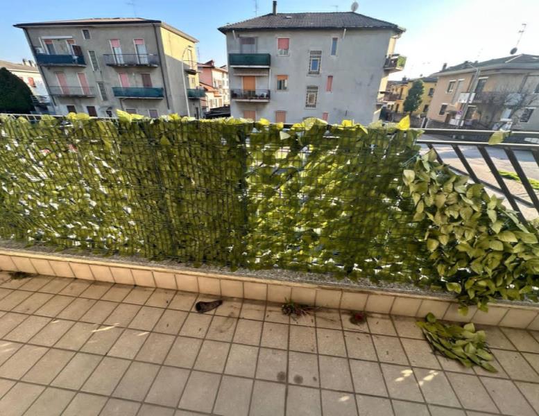 immagine annuncio 2 di 8