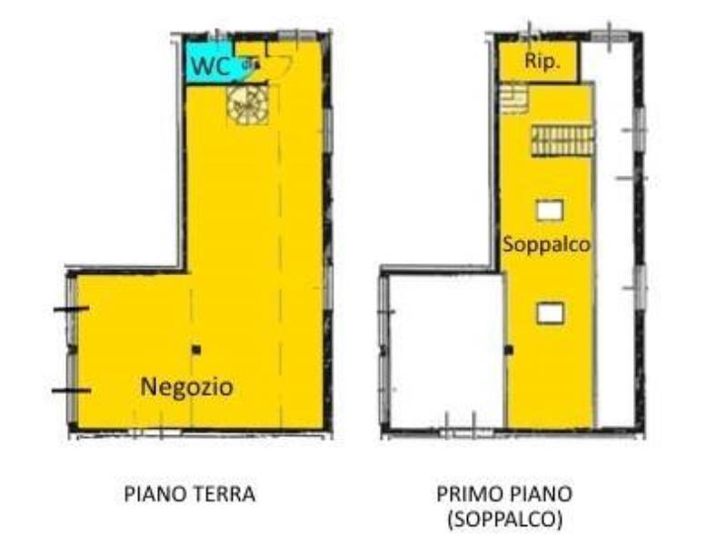 immagine annuncio 12 di 13