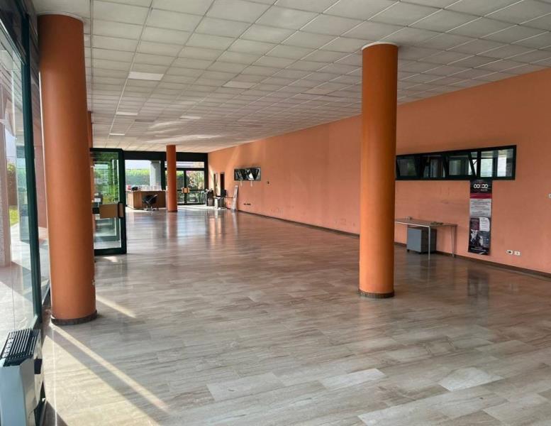 immagine annuncio 2 di 13