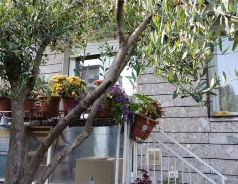 immagine annuncio 10 di 14