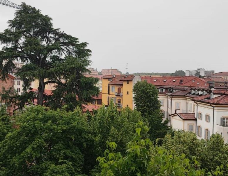 immagine annuncio 4 di 6