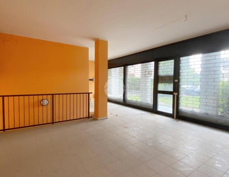 immagine annuncio 2 di 8